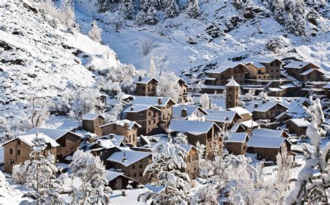 Nieve .